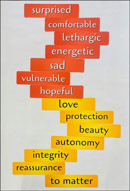 Feelings and Needs - a few of the many possibilities